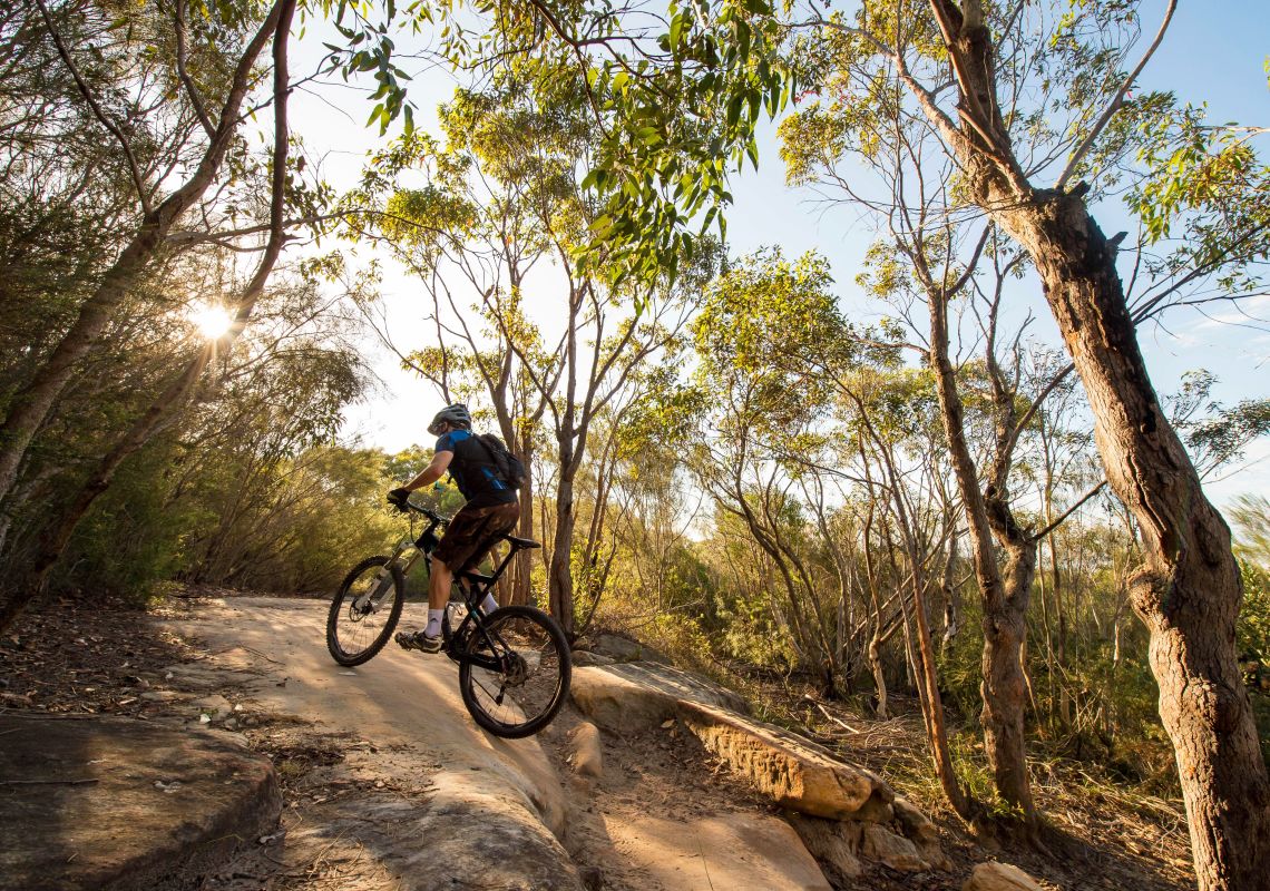 West creek mountain online bike trail